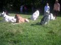 IMG00224-20120526-1656.jpg