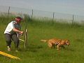 IMG00263-20120526-1727.jpg